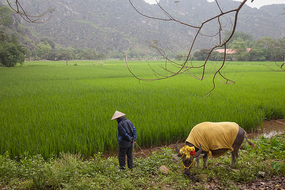 Ninh Binh, Vietnam