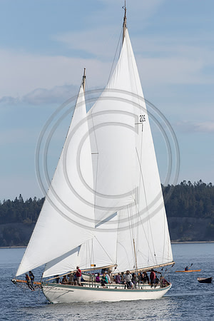 Wooden Boat Festival, Port Townsend, WA