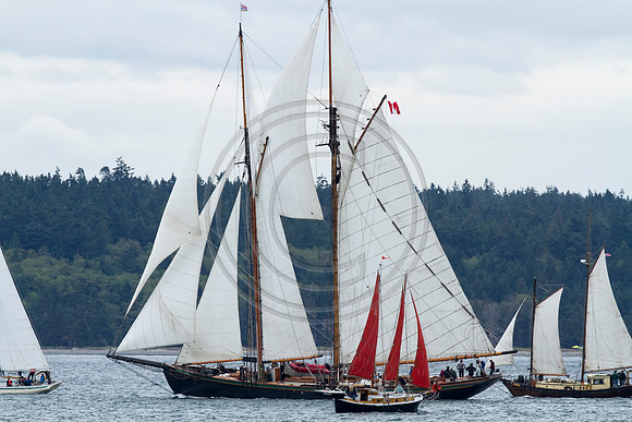 Wooden Boat Festival, Port Townsend, WA