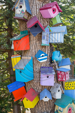 Birdhouses, Royston, BC