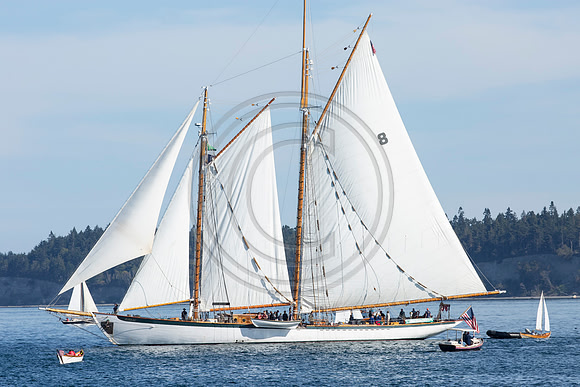 Wooden Boat Festival