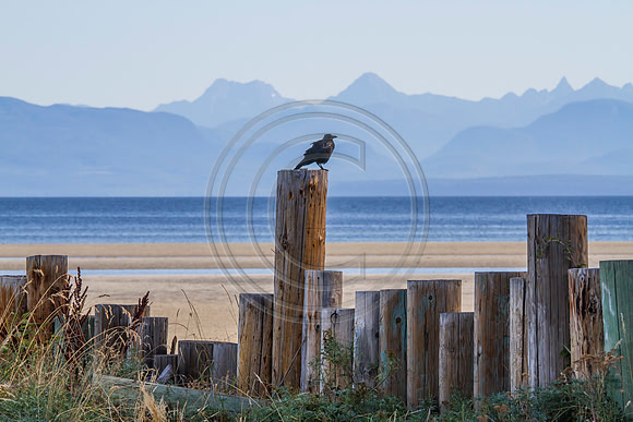 Kye Beach, Comox
