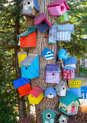 Bird condos, Royston, BC, Canada