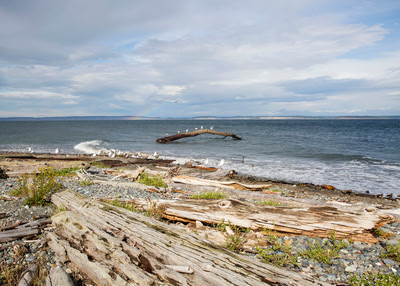 Seascape at Point Hudson, Port Townsend, Washington
