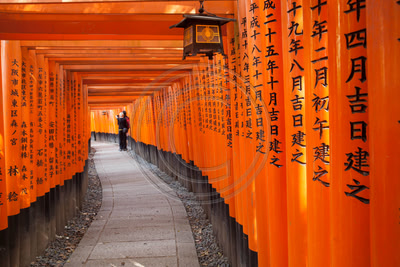 Vermilion torii gates at Fushimi Inari shrine